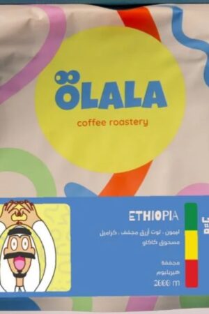 شيلشيلي